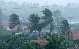 Bão số 5 đổ bộ vào Hà Tĩnh, Quảng Bình